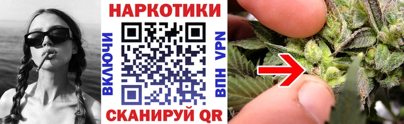 Цена Олёкминск omg зеркало  Alpha-PVP  Меф мяу мяу  Канабис 