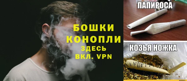 трава Арсеньев