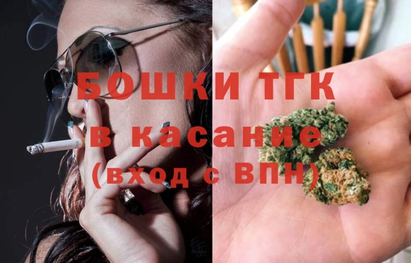 трава Арсеньев