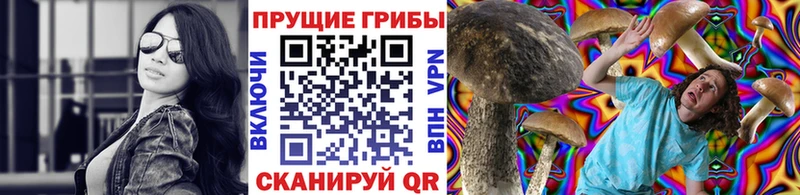 Галлюциногенные грибы GOLDEN TEACHER  как найти закладки  Олёкминск 
